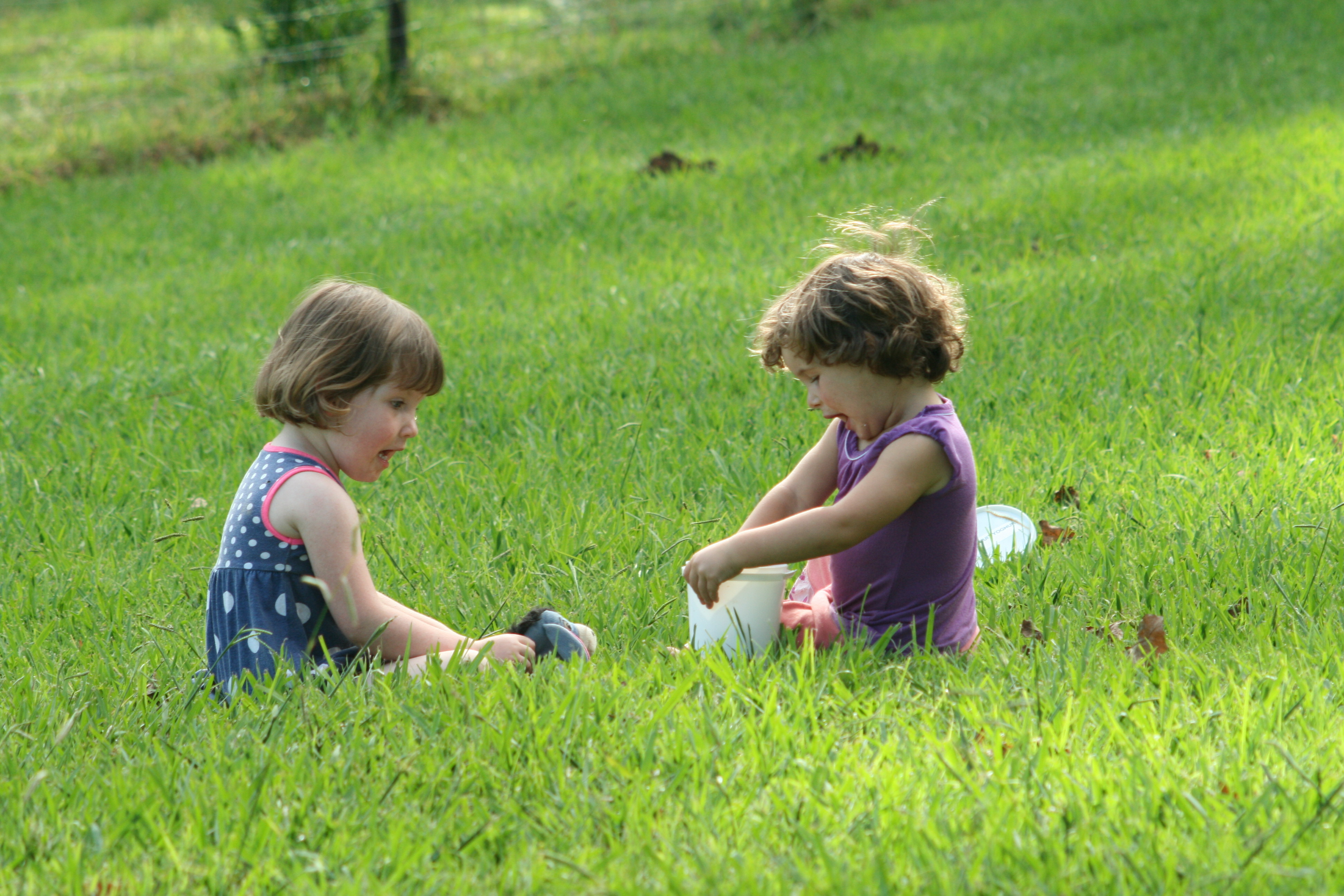 Kinderen in veld