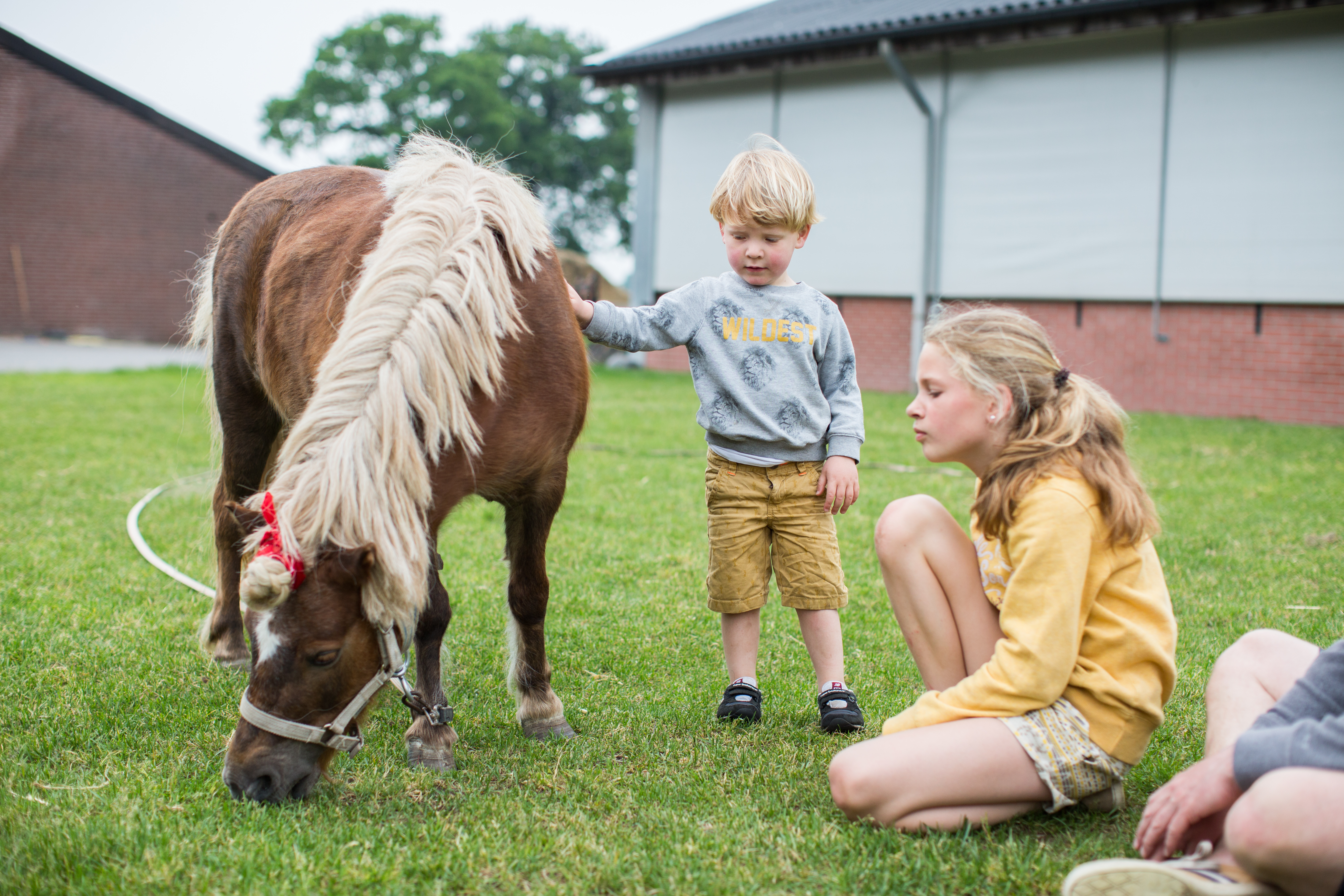 Pony en kinderen