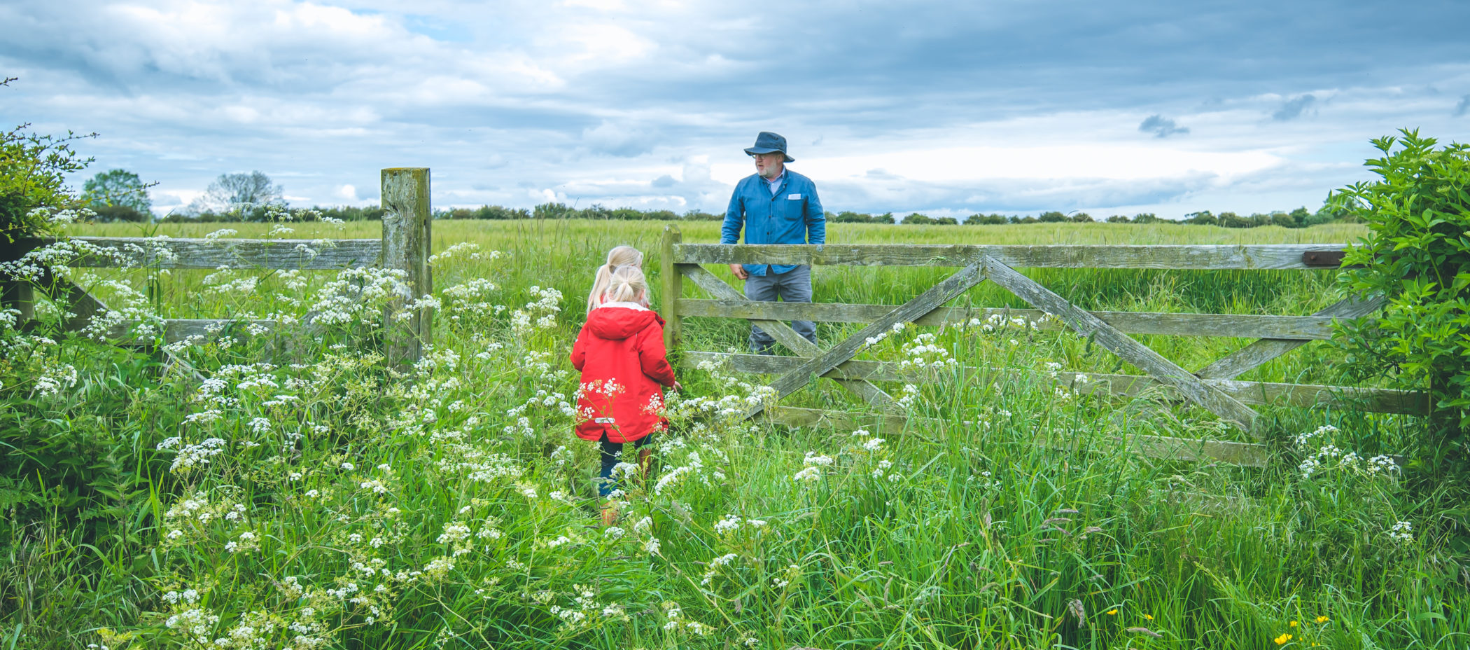 Weiland met bloemen