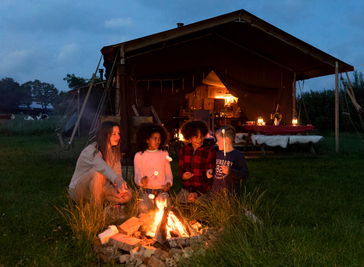 Marshmallows roosteren